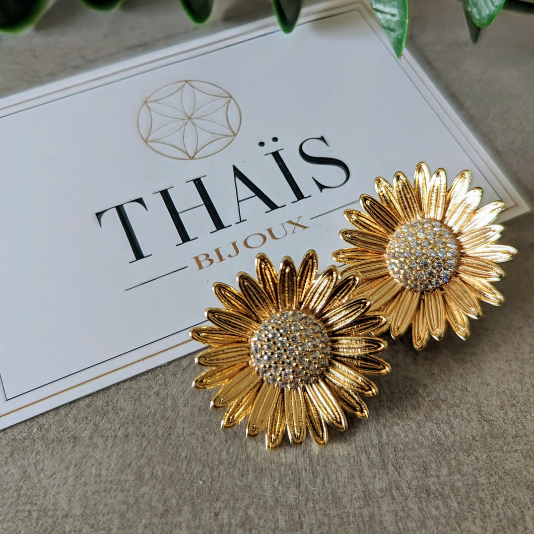 Boucles d'oreilles 